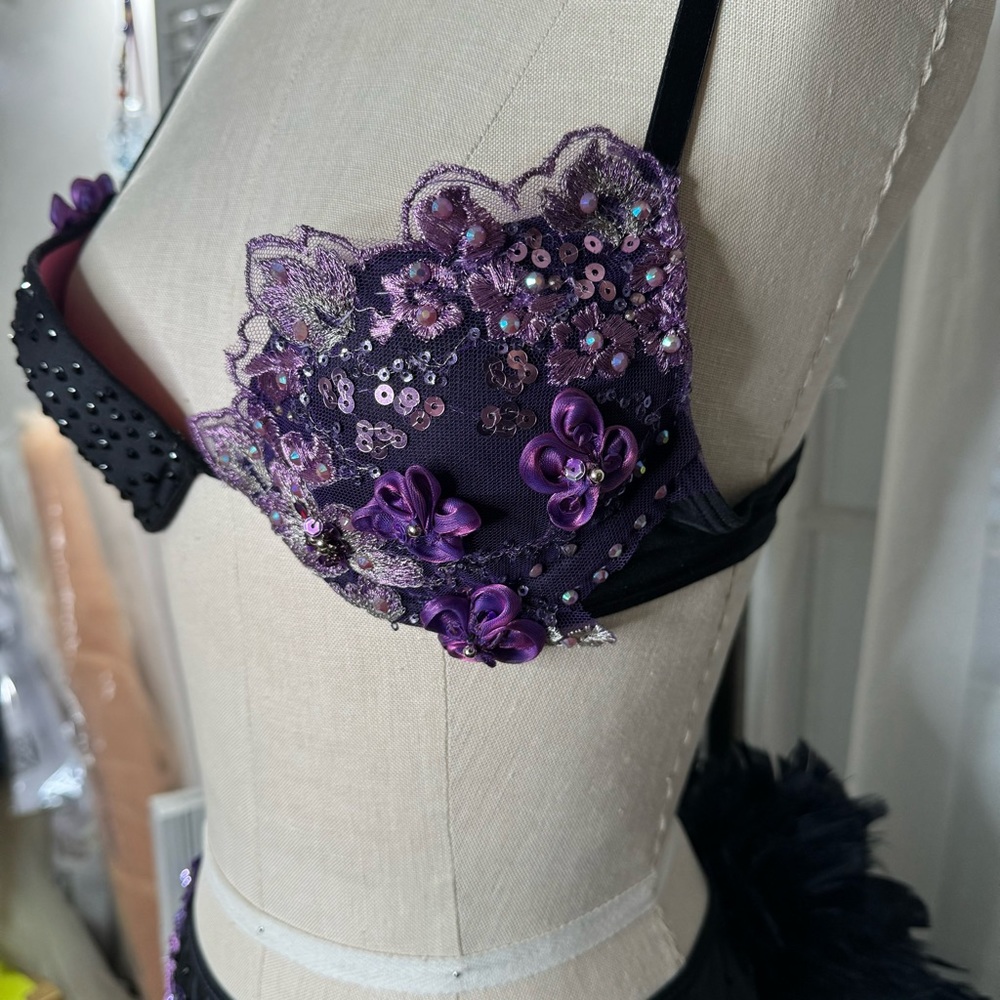 SOLD Showgirl Burlesque Costume lingerie with feather bustle - Picture 9 of 10